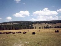 photos 2000-200900347